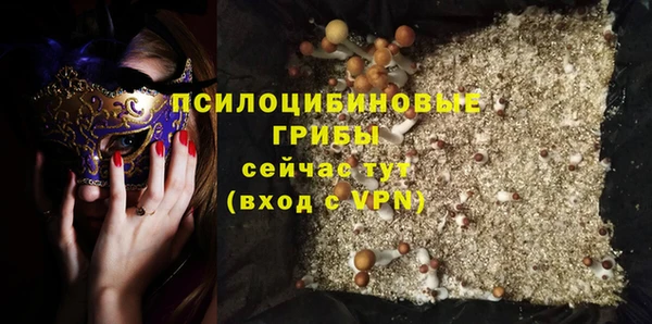 винт Бородино