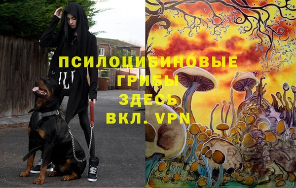 винт Бородино