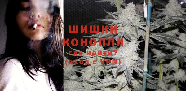 винт Бородино