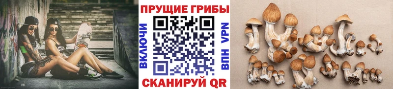 Галлюциногенные грибы MAGIC MUSHROOMS  Невьянск 